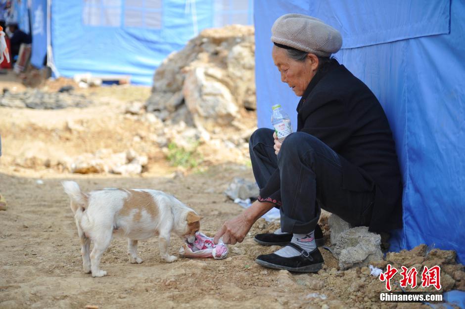 8月6日，一名老人將剛領(lǐng)到的礦泉水分給小狗。