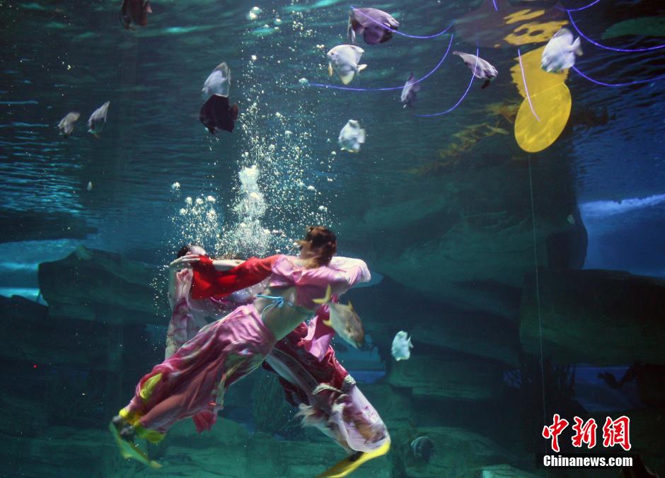 9月7日，在中秋節(jié)到來(lái)前一天，山東泉城海洋極地世界為游客帶來(lái)“嫦娥水中奔月”表演。