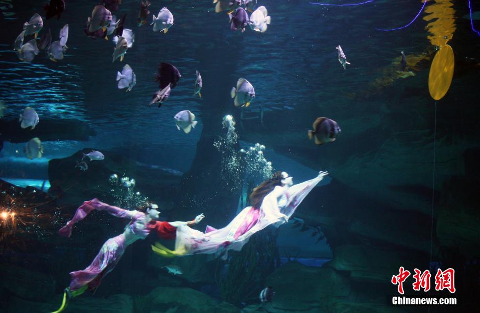 9月7日，在中秋節(jié)到來(lái)前一天，山東泉城海洋極地世界為游客帶來(lái)“嫦娥水中奔月”表演。