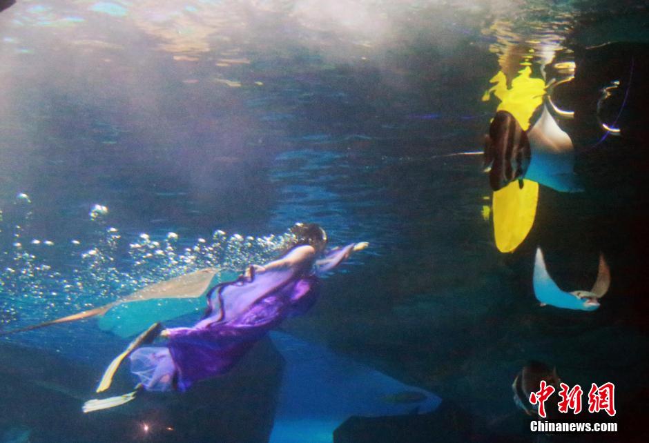 9月7日，在中秋節(jié)到來(lái)前一天，山東泉城海洋極地世界為游客帶來(lái)“嫦娥水中奔月”表演。