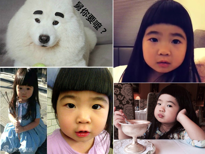 不小心就撞臉了！盤(pán)點(diǎn)動(dòng)物界的明星相