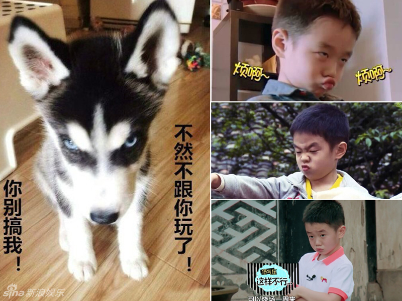 不小心就撞臉了！盤(pán)點(diǎn)動(dòng)物界的明星相