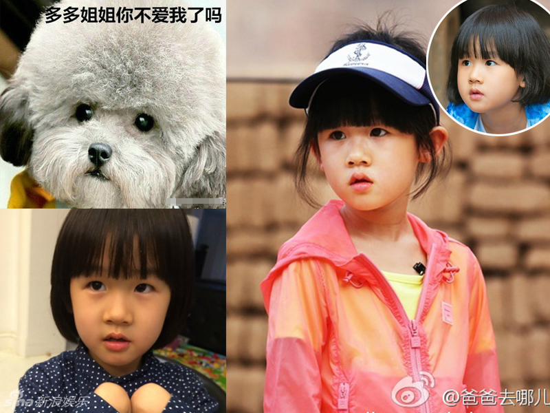 不小心就撞臉了！盤(pán)點(diǎn)動(dòng)物界的明星相