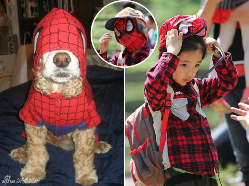 不小心就撞臉了！盤(pán)點(diǎn)動(dòng)物界的明星相