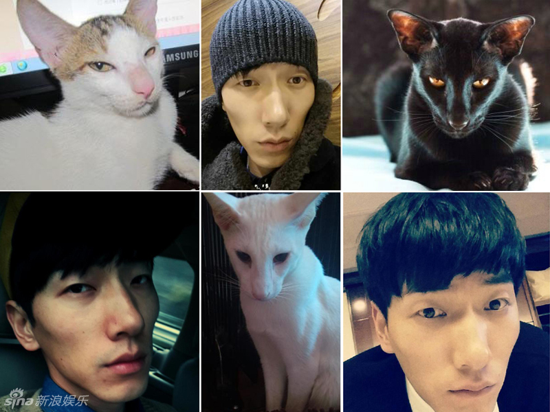 不小心就撞臉了！盤(pán)點(diǎn)動(dòng)物界的明星相