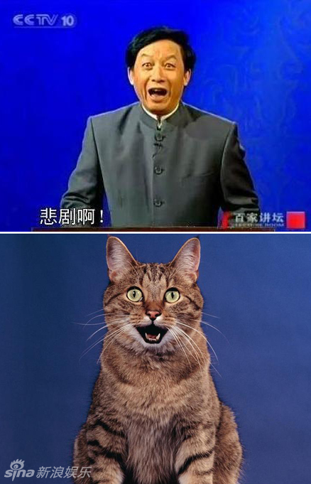 不小心就撞臉了！盤(pán)點(diǎn)動(dòng)物界的明星相