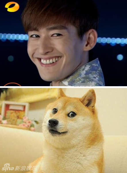 不小心就撞臉了！盤(pán)點(diǎn)動(dòng)物界的明星相