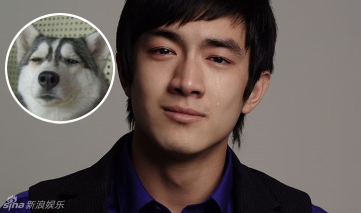 不小心就撞臉了！盤(pán)點(diǎn)動(dòng)物界的明星相