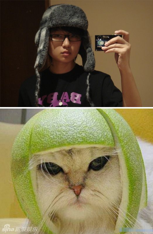 不小心就撞臉了！盤(pán)點(diǎn)動(dòng)物界的明星相