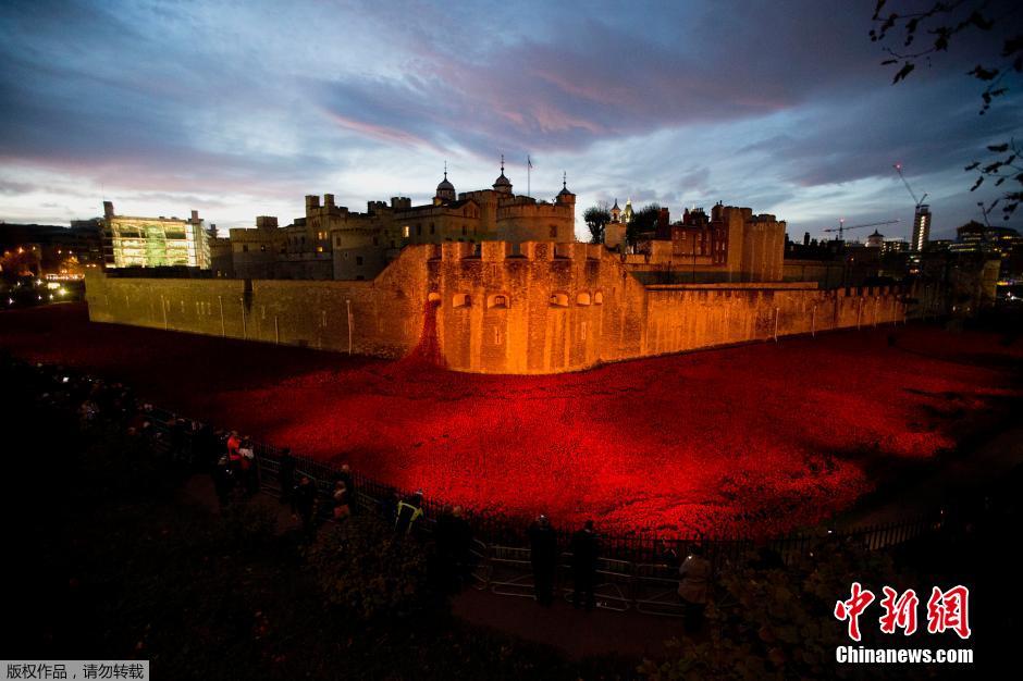 當?shù)貢r間2014年11月10日，英國倫敦，倫敦塔周邊“種植”了888246朵陶瓷材質(zhì)的罌粟花，以此紀