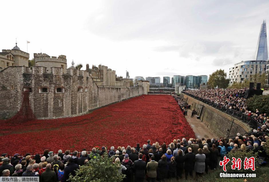 當?shù)貢r間2014年11月10日，英國倫敦，倫敦塔周邊“種植”了888246朵陶瓷材質(zhì)的罌粟花，以此紀