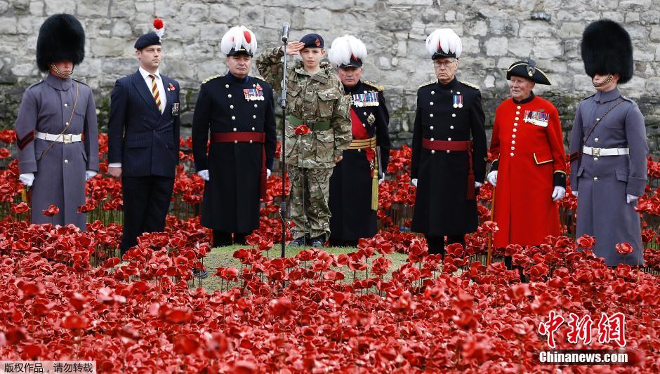 當?shù)貢r間2014年11月10日，英國倫敦，倫敦塔周邊“種植”了888246朵陶瓷材質(zhì)的罌粟花，以此紀