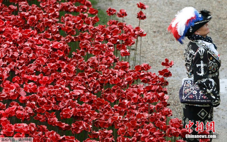 當?shù)貢r間2014年11月10日，英國倫敦，倫敦塔周邊“種植”了888246朵陶瓷材質(zhì)的罌粟花，以此紀