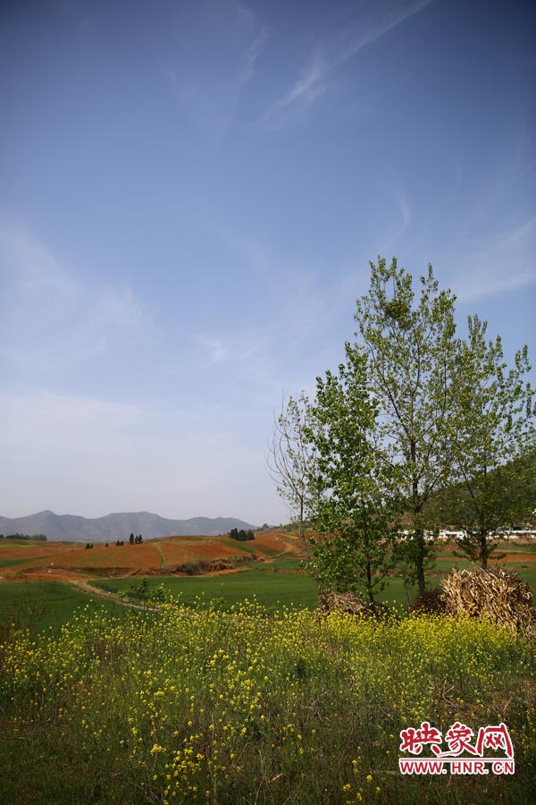 庫(kù)區(qū)的藍(lán)天、白云、綠樹、黃花給人清新的享受