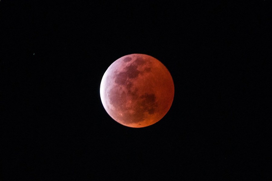 4月4日，福州上空出現(xiàn)紅月亮。楊婀娜/CFP