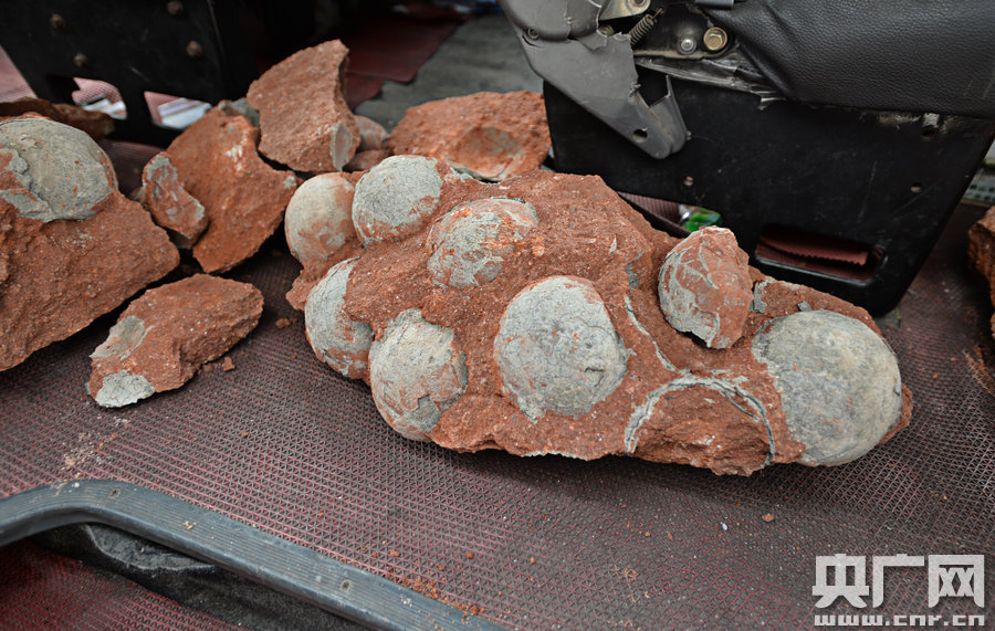 其中完整的19枚，都是直徑約13厘米的“大個(gè)子”。