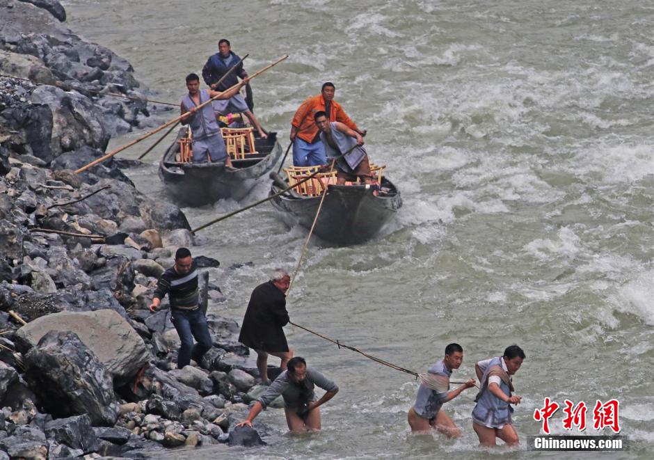 纖夫在神農(nóng)溪畔牽引木船溯溪而上。