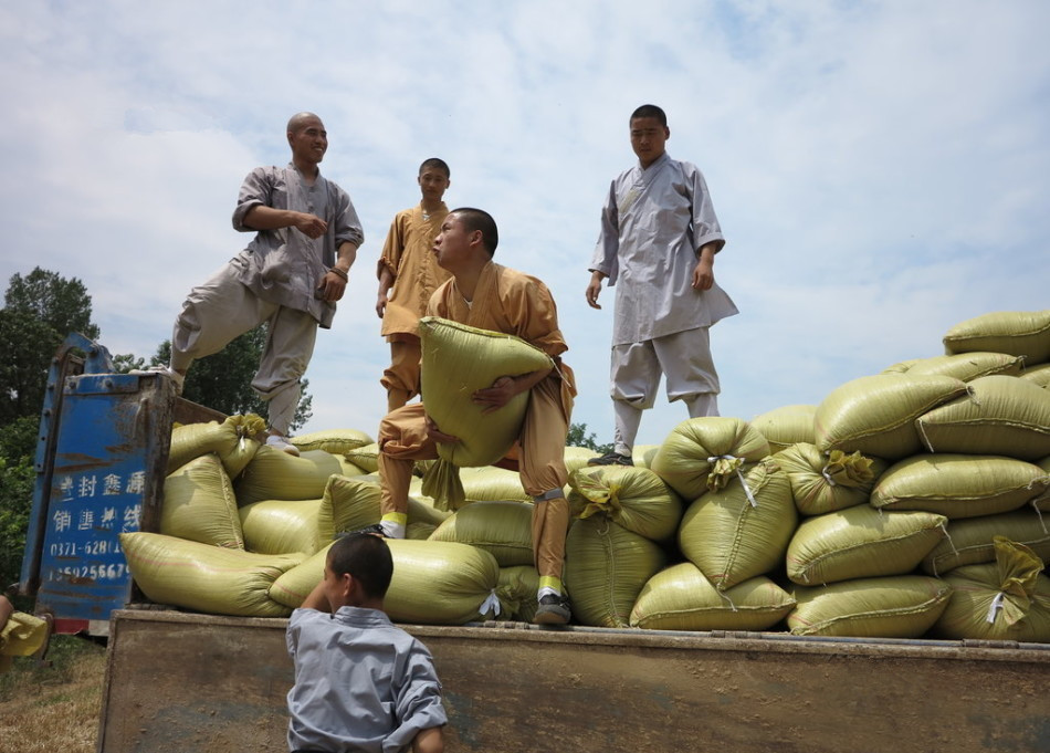 武僧將打包后的糧食集中至運(yùn)輸車輛上。