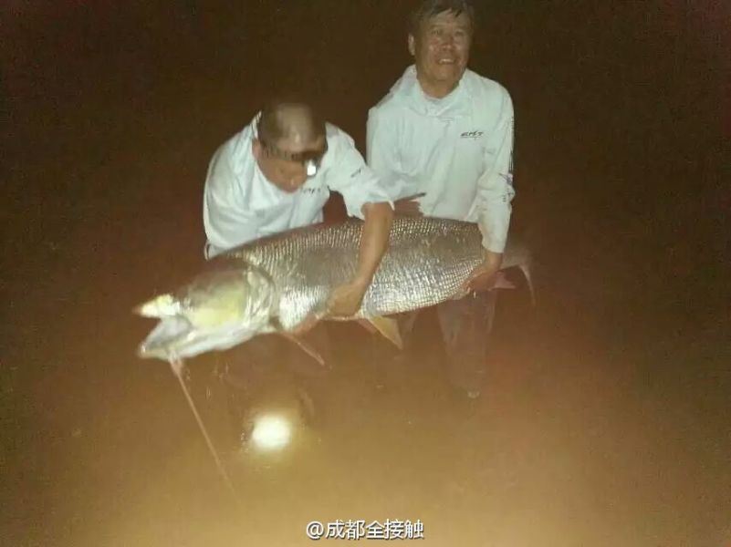 圖為大魚需要兩個(gè)人抱起。