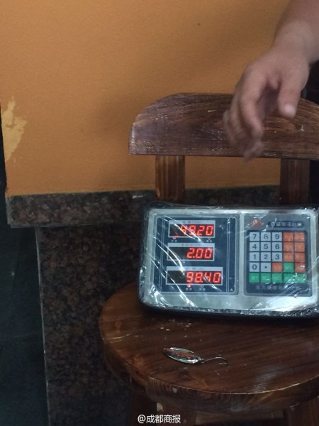 父子倆為大魚量體重。