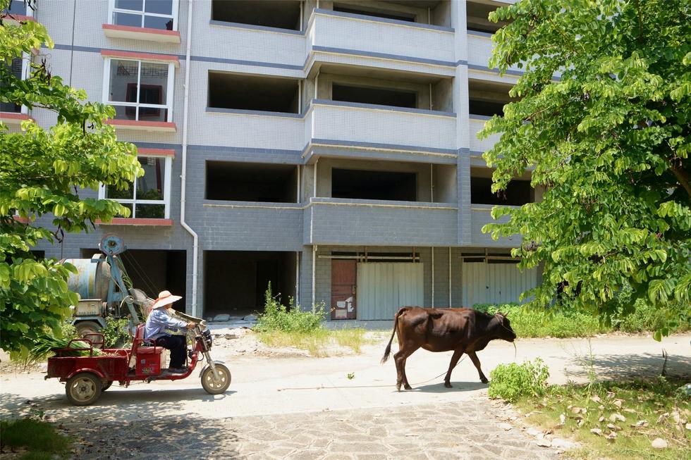 2016年7月26日，村民在廣西來賓市忻城縣隆達(dá)山水福城荒廢別墅間放牛。