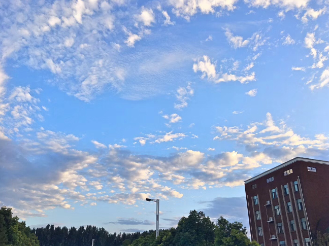 又被鄭州的藍天刷屏！隨便一拍就是手機壁紙