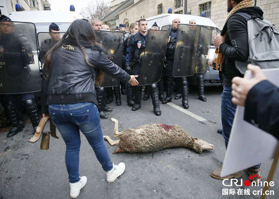 　　當(dāng)?shù)貢r間2014年11月27日，法國巴黎，法國農(nóng)民帶綿羊在埃菲爾鐵塔附近抗議，要求環(huán)保部門采取有效措施解決狼群襲擊羊群問題。　圖片來源：TRICK KOVARIK/CFP