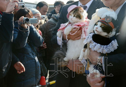 圖為粉絲們簇擁著“阿玉”站長（右）。左側(cè)為其部下“二玉”。