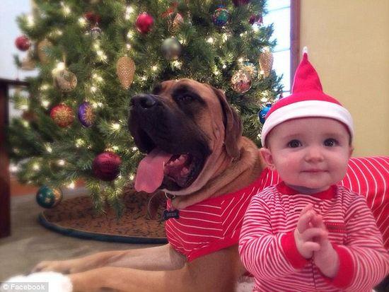 圖為美國2歲大的寵物犬與主人9個月大的女嬰。圖片來源：臉譜網(wǎng)站（Facebook）。