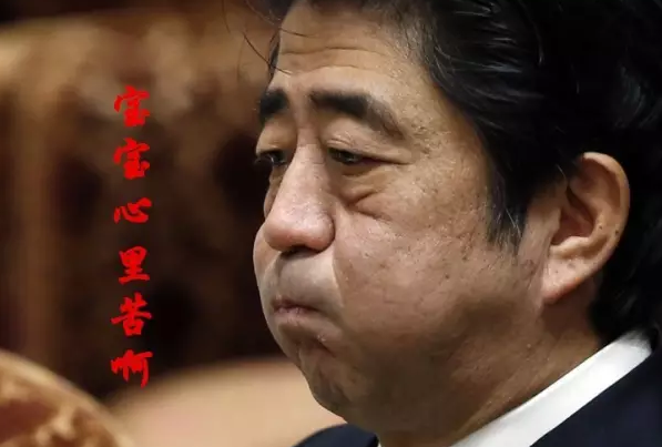 這種看安倍“熱鬧”的事兒，環(huán)環(huán)絕不私藏，一定雨露均沾!