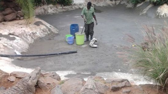 穆克的養(yǎng)殖場，鱷視眈眈下的工作人員。