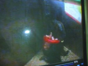 侯某被摁倒割喉。