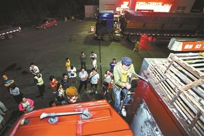 浙江動保人士高速攔車救貓 假稱出車禍叫來民警 浙江動保人士高速攔車救貓 假稱出車禍叫來民警