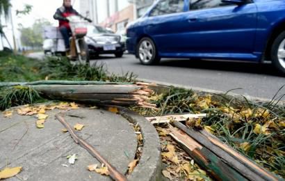 事發(fā)現(xiàn)場(chǎng)，嫌疑車輛撞壞的木樁。