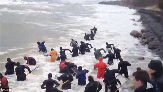 一場暴雨后，俄羅斯加里寧格勒Pionersky鎮(zhèn)，數(shù)十人潛入海水中搜尋琥珀。