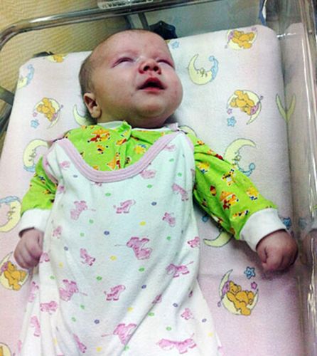 居民認(rèn)為，如果沒有這只貓的照料，寶寶可能沒有機會活下來。