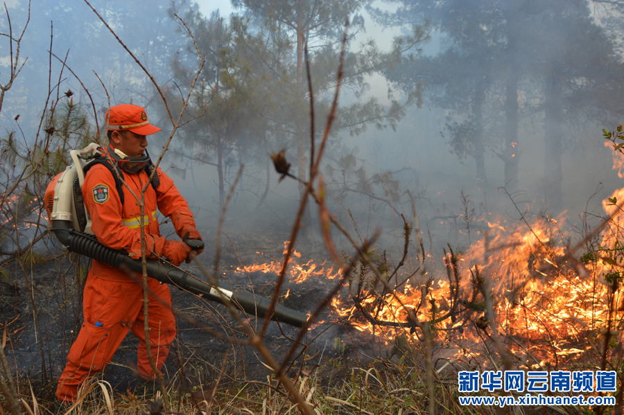 云南呈貢發(fā)生森林火情 950多人全力撲救