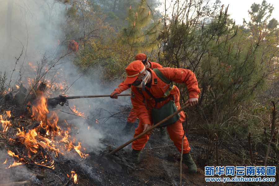云南呈貢發(fā)生森林火情 950多人全力撲救