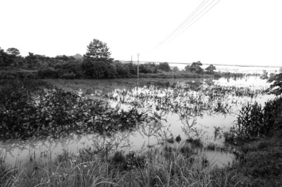 現(xiàn)場(chǎng)圖 現(xiàn)場(chǎng)圖