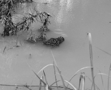 現(xiàn)場(chǎng)圖 現(xiàn)場(chǎng)圖