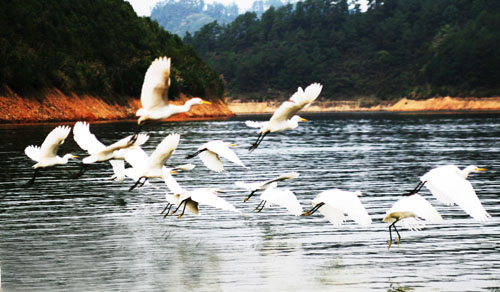 考完去哪兒？千島湖中、高考生門票大優(yōu)惠！
