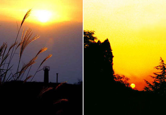 夕陽(yáng)無(wú)限好 西安不可錯(cuò)過(guò)的夕照勝景地