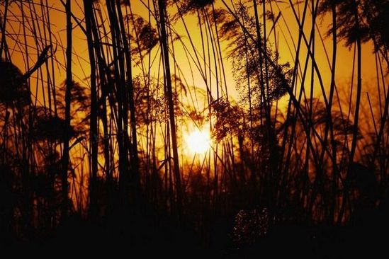 夕陽(yáng)無(wú)限好 西安不可錯(cuò)過(guò)的夕照勝景地