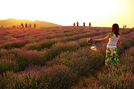 嵖岈山傾情打造中秋節(jié)休閑度假全體驗