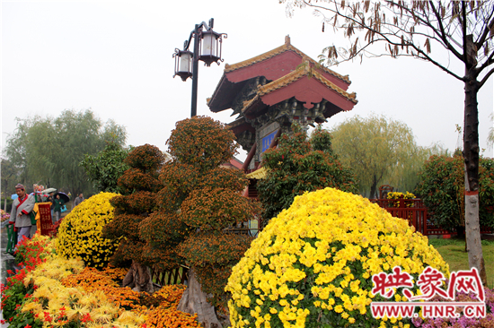 天好、花美 中國(guó)開封第32屆菊花文化節(jié)延長(zhǎng)一周