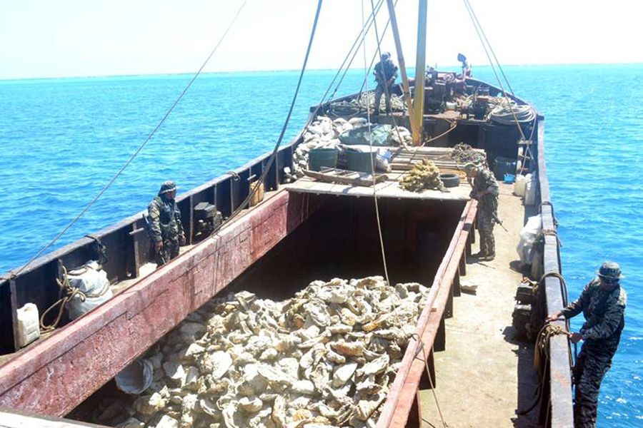 被檢查的中國漁船被菲方指控為非法捕魚。圖為菲律賓海軍持槍檢查中國漁民的照片。