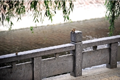 周末有陣雨明天迎來大暑 周末有陣雨明天迎來大暑