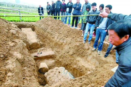 碑帽、赑屃、碑座、碑身依次排開