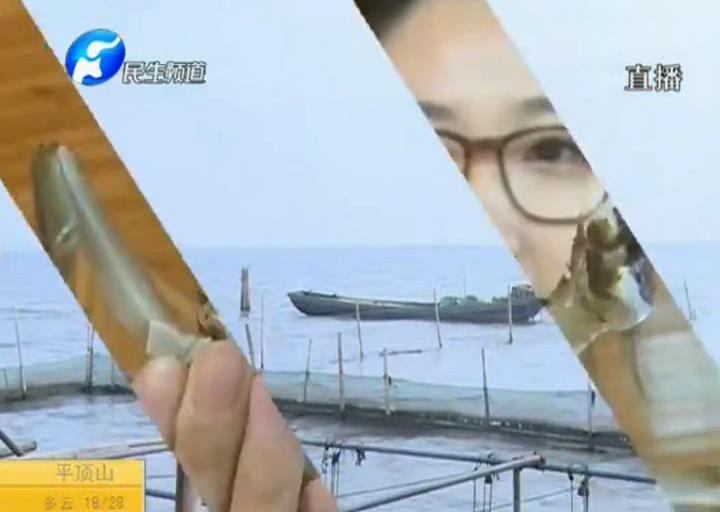 陽澄湖大閘蟹？假的！