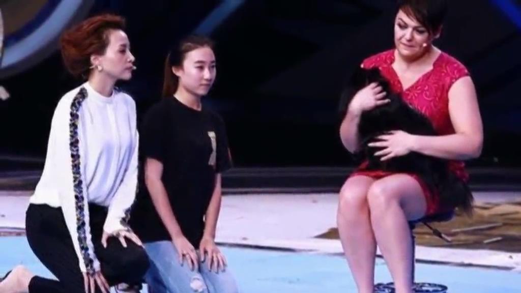 又當(dāng)托？ 董卿節(jié)目現(xiàn)場當(dāng)眾對狗下跪稱被催眠